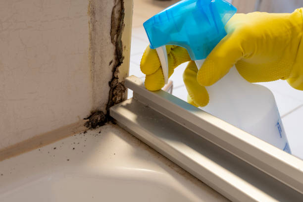Best Mold Removal Near Me  in Central Garage, VA