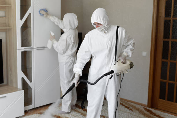 Best Mold Removal Company Near Me  in Central Garage, VA