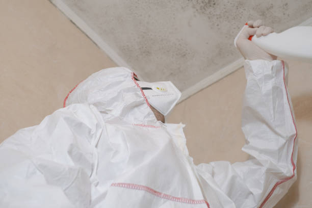 Central Garage, VA Mold Removal Company