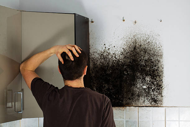 Best Certified Mold Removal  in Central Garage, VA